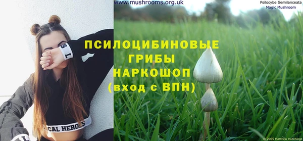 соль ск Шарыпово