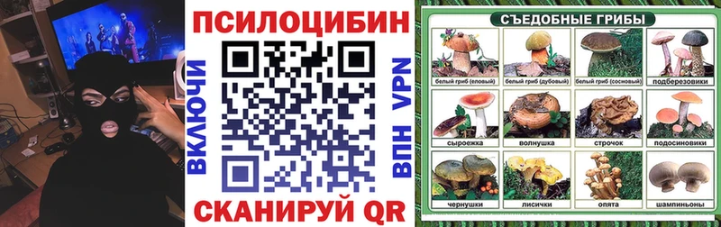 Галлюциногенные грибы Psilocybine cubensis  Чухлома 